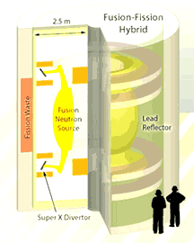 The Fission-Fusion hybrid 